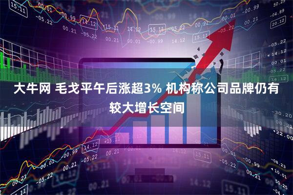 大牛网 毛戈平午后涨超3% 机构称公司品牌仍有较大增长空间