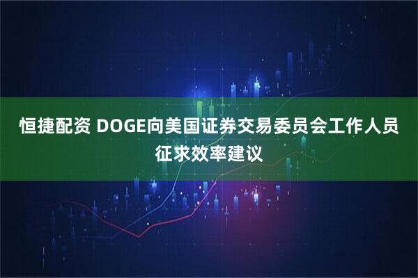 恒捷配资 DOGE向美国证券交易委员会工作人员征求效率建议