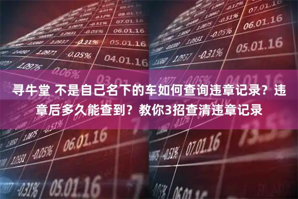 寻牛堂 不是自己名下的车如何查询违章记录？违章后多久能查到？教你3招查清违章记录
