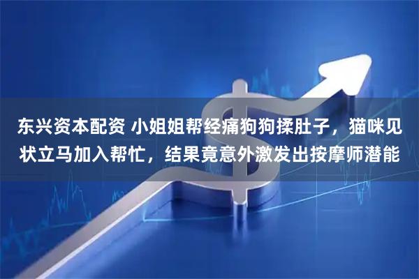 东兴资本配资 小姐姐帮经痛狗狗揉肚子，猫咪见状立马加入帮忙，结果竟意外激发出按摩师潜能