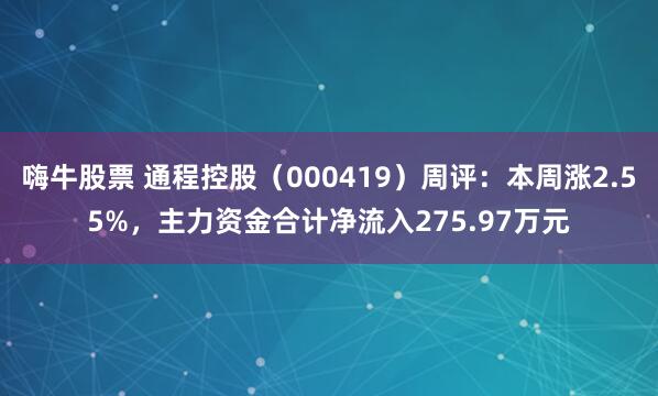 嗨牛股票 通程控股（000419）周评：本周涨2.55%，主力资金合计净流入275.97万元